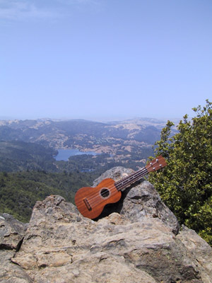 Mt. Tamalpais by Jerrold Connors