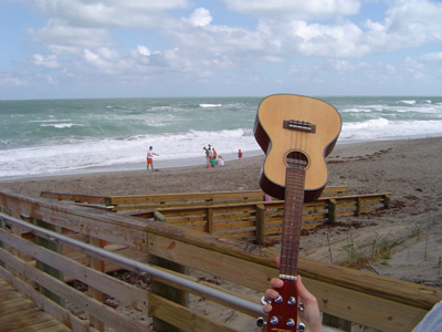 South Florids Coast by cc407